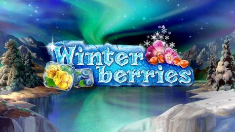 Winter Berries